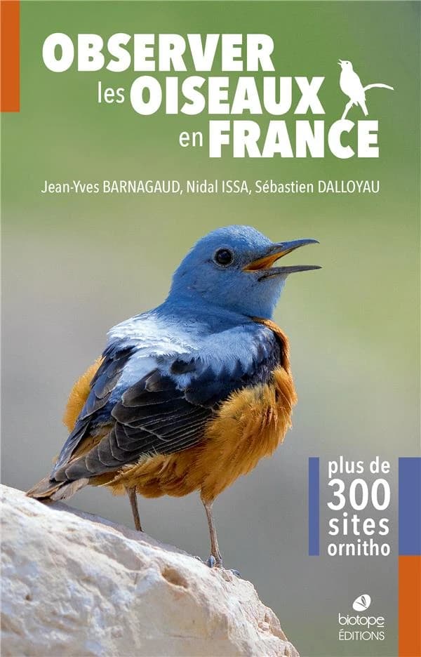 Observer les oiseaux en France