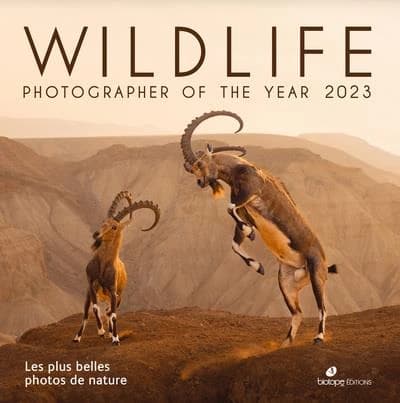 Wildlife photographer of the year : les plus belles photos de nature (édition 2023)