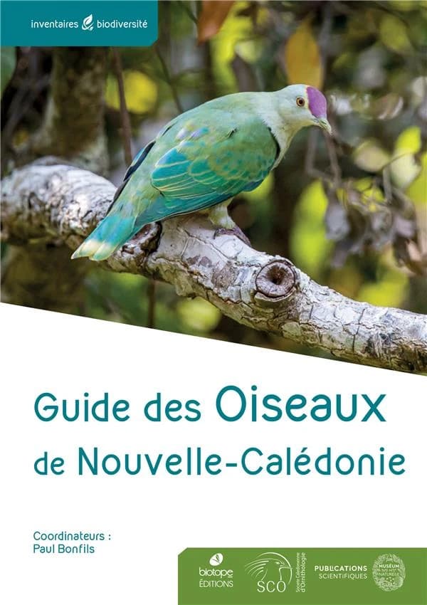 Oiseaux de Nouvelle-Calédonie : Grande Terre, îles Loyauté et archipels éloignés