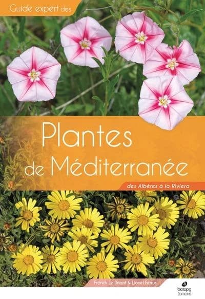 Plantes de Méditerranée : des Albères à la Riviera