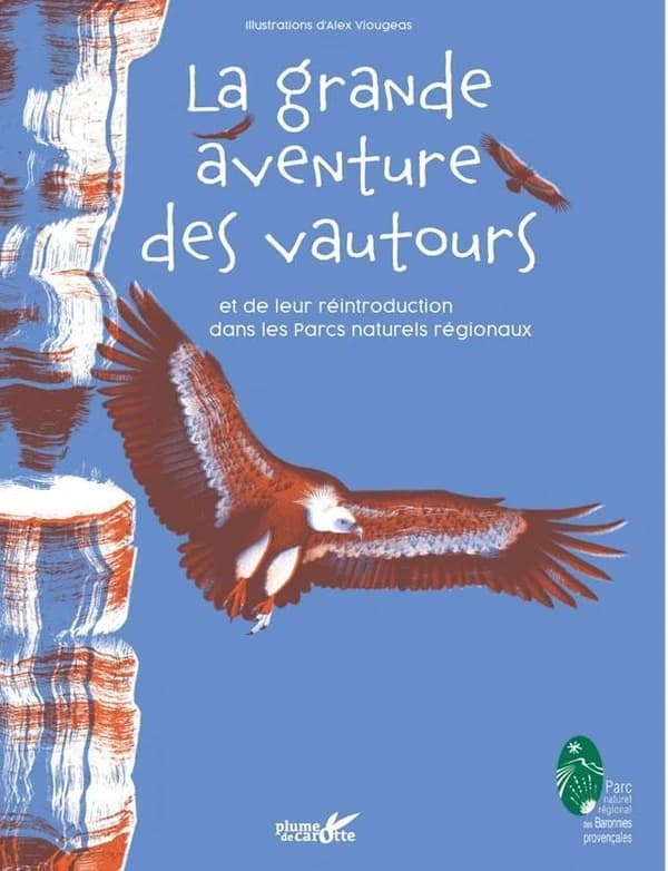 La grande aventure des vautours et de leur réintroduction dans les Parcs naturels régionaux