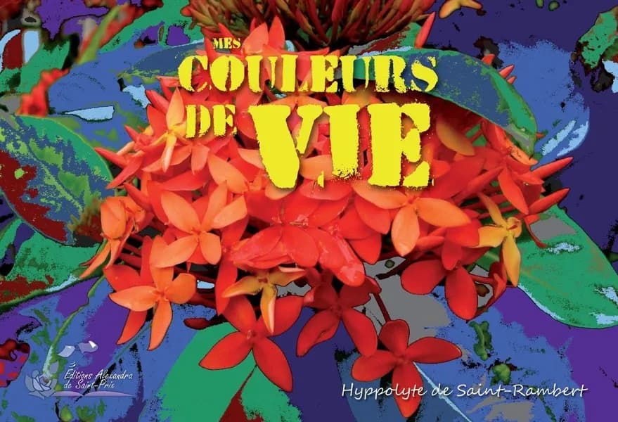Beautés curatives : mes couleurs de vie