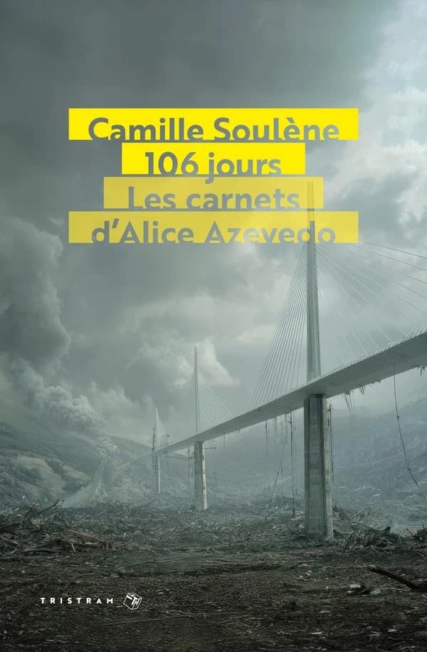 106 jours : les carnets d'Alice Azevedo : roman