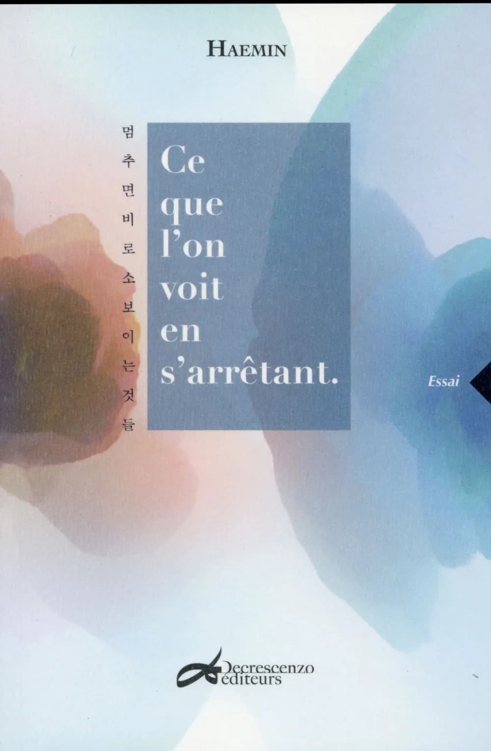 Ce que l'on voit en s'arrêtant : essai