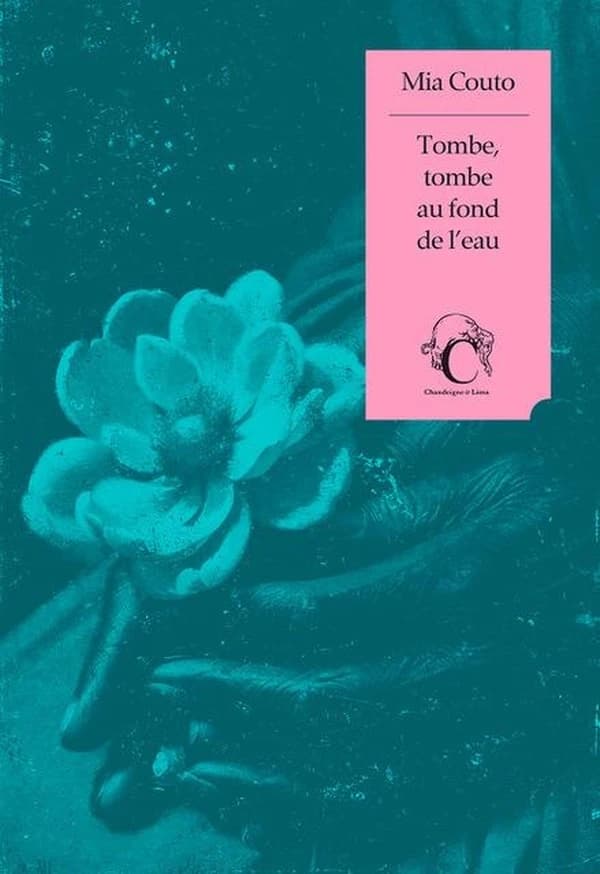 Tombe, tombe au fond de l'eau (4e éd.) Mia Couto ; traduit du portugais (Mozambique) par Elisabeth Monteiro Rogrigues