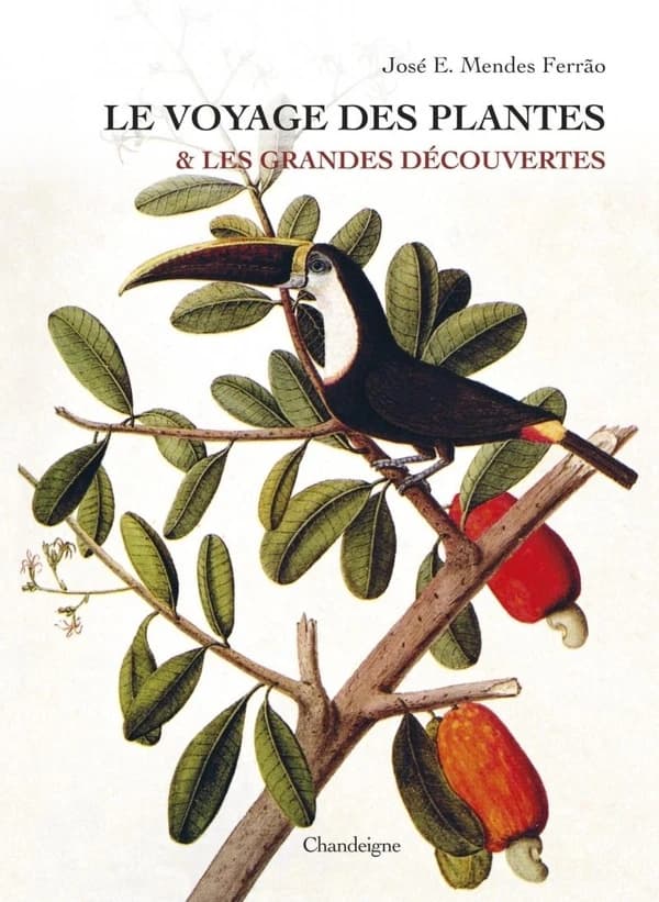Le voyage des plantes et les grandes decouvertes