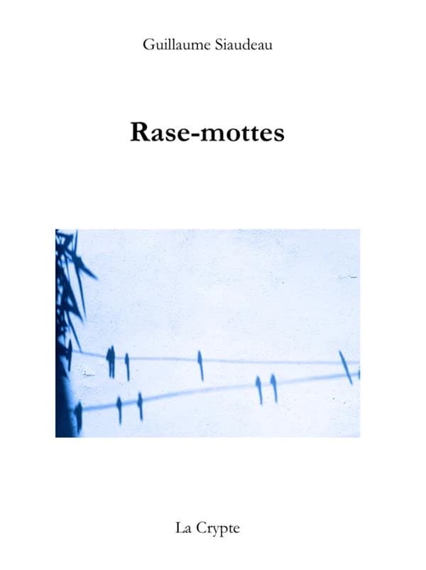 Rase-mottes
