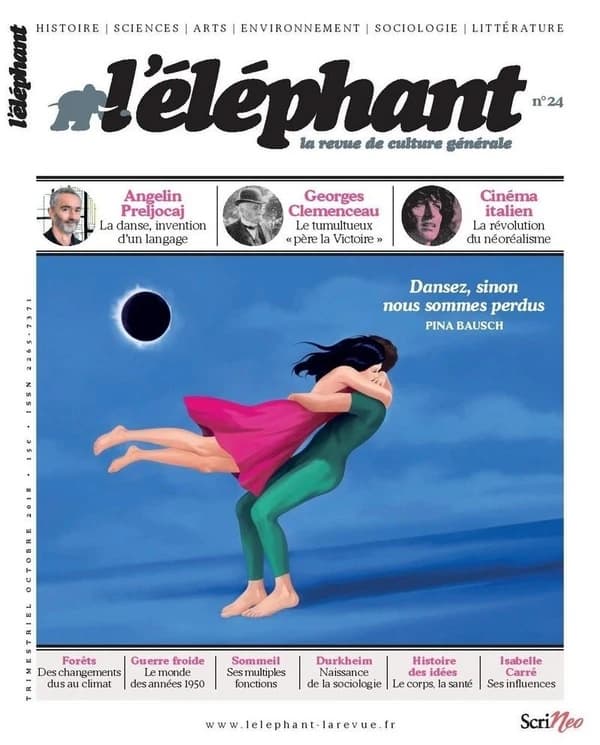 L'éléphant n.24