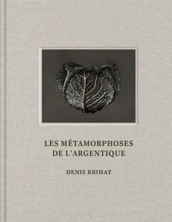 Les métamorphoses de l'argentique