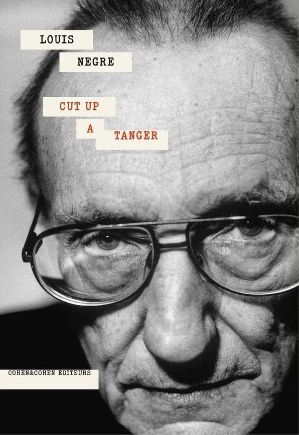 Cut up à Tanger : roman