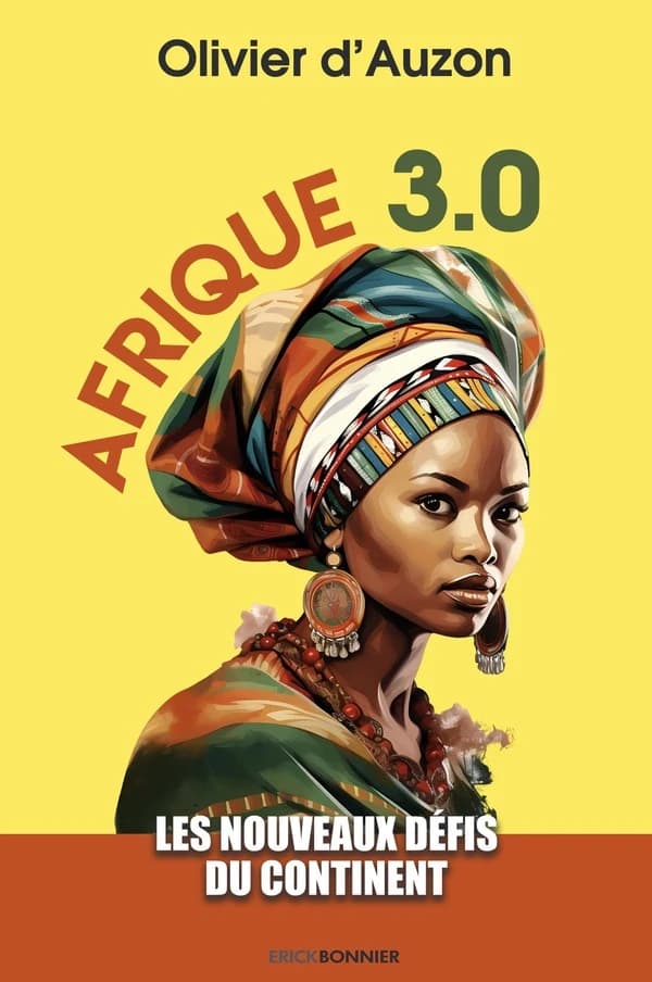 Afrique 3.0 : les nouveaux défis du continent : essai