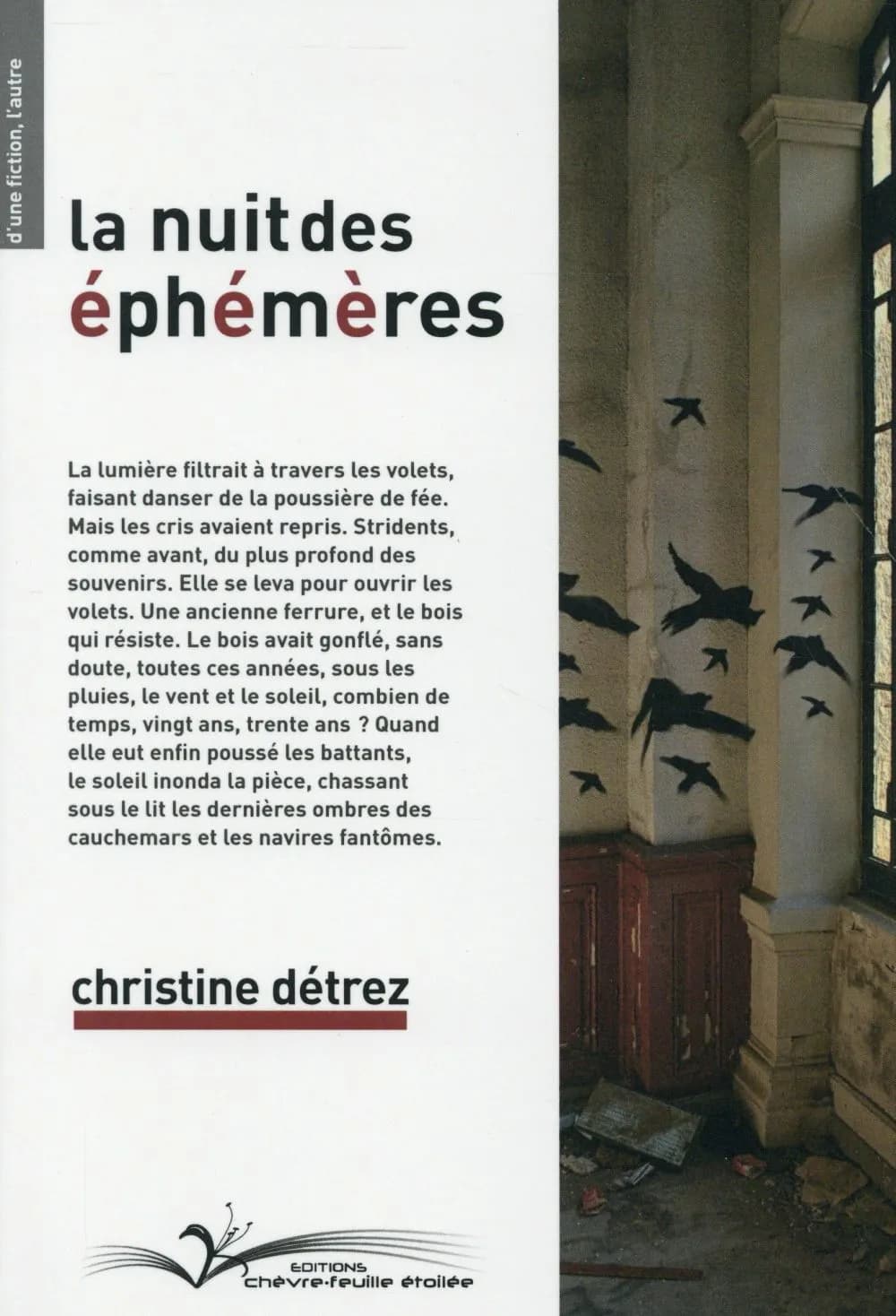 La nuit des éphémères : roman