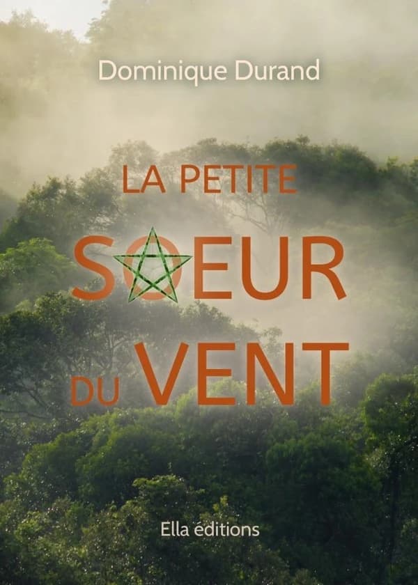 La petite soeur du vent : roman