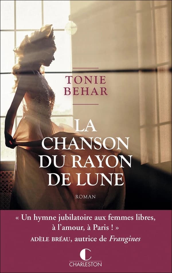 La chanson du rayon de lune : roman