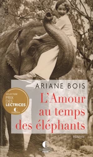 L'amour au temps des éléphants : roman