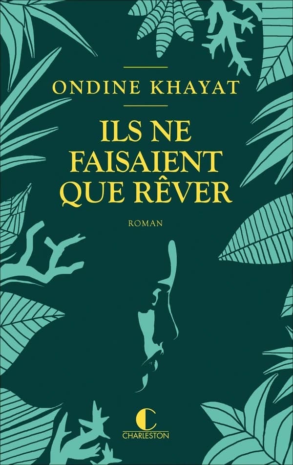 Ils ne faisaient que rêver : roman