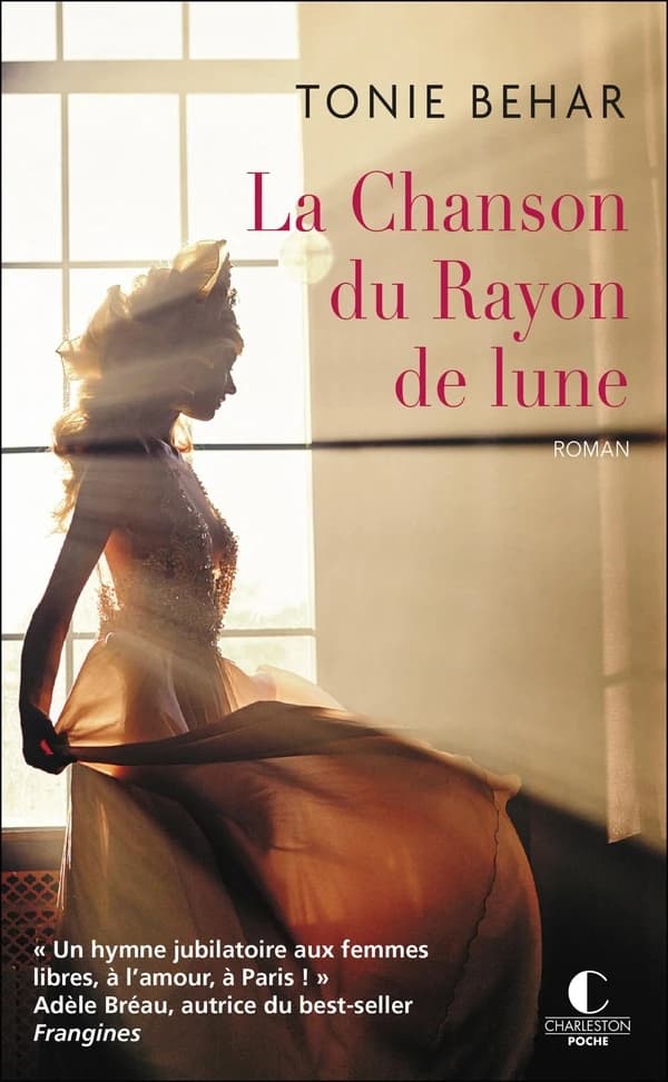 La chanson du rayon de lune : roman