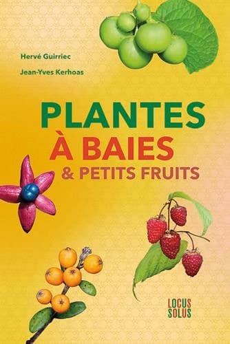 Plantes à baies & petits fruits : botanique, histoire, bienfaits, dangers
