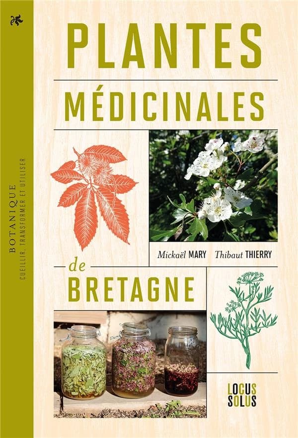 Plantes médicinales de Bretagne : cueillir, transformer et utiliser