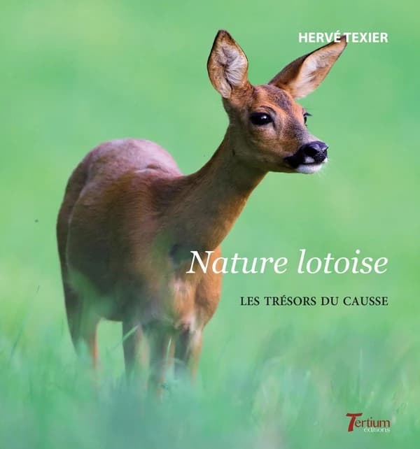 Nature lotoise : les trésors du Causse