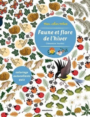 Faune et flore de l'hiver : coloriage, autocollants, quiz : [Album à colorier]