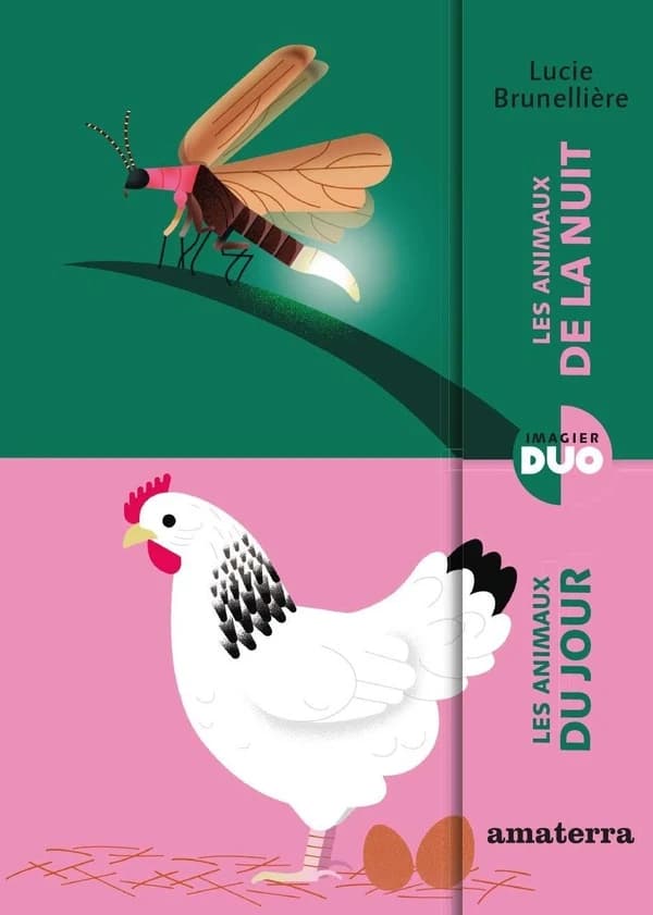 Les animaux du jour ; Les animaux de la nuit