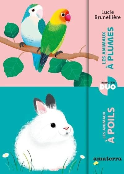 Les animaux à plumes