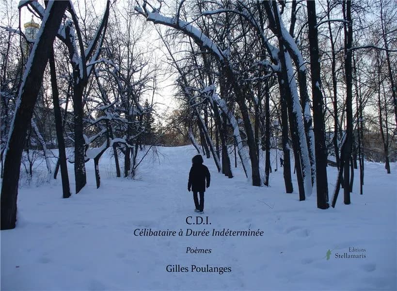 CDI : célibataire à durée indéterminée : poèmes