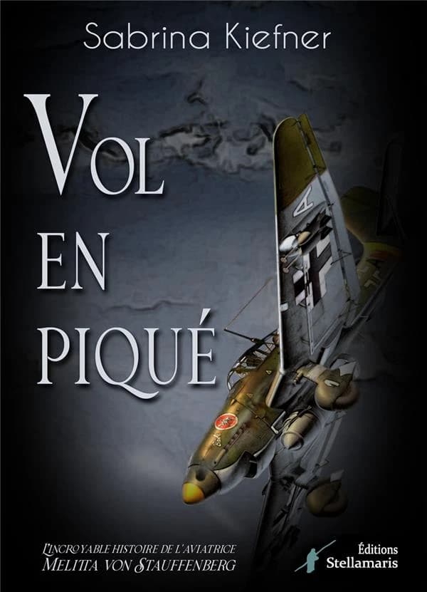 Vol en piqué : roman
