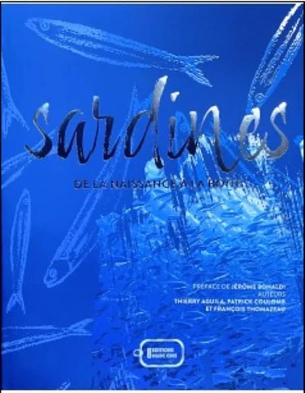 Sardines : de la naissance à la boîte