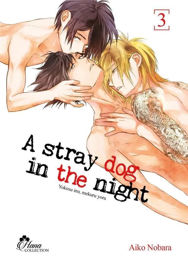 A stray dog in the night. 3