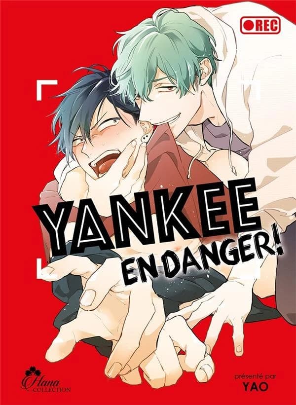 Yankee en danger