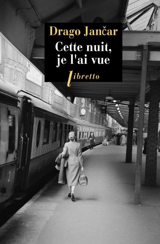 Cette nuit, je l'ai vue : roman