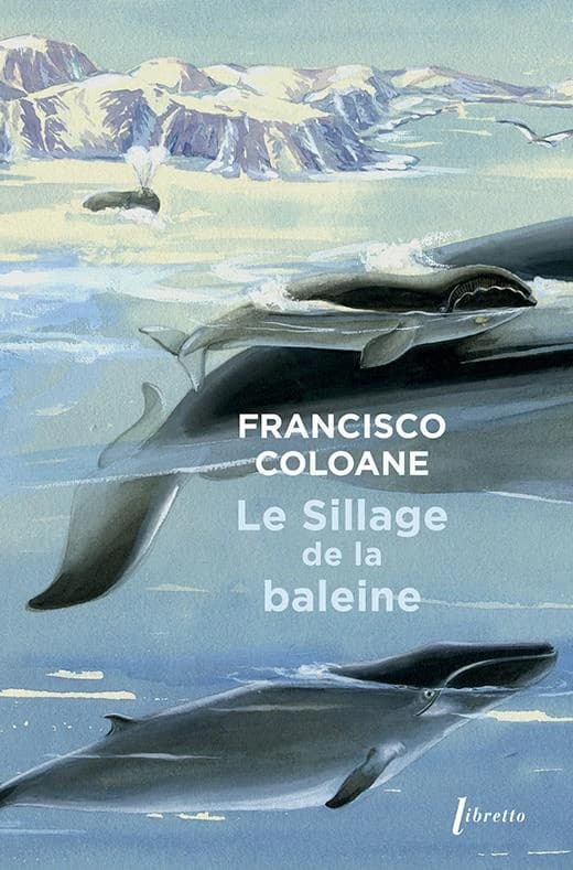 Le sillage de la baleine : roman