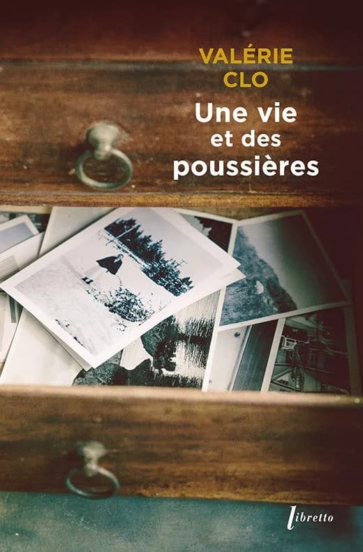 Une vie et des poussières : roman
