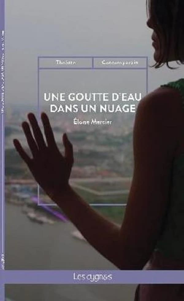 Une goutte d'eau dans un nuage : chroniques imaginaires d'une expatriée à Saïgon