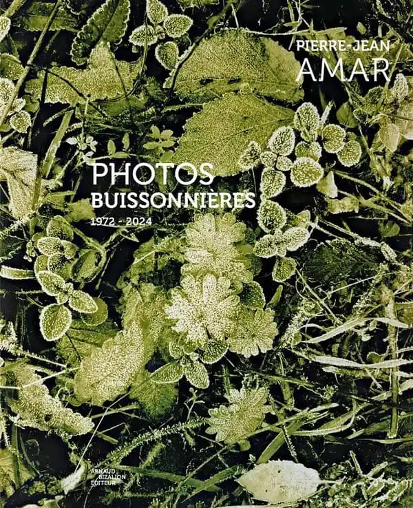 Photos buissonnières : 1972-2024