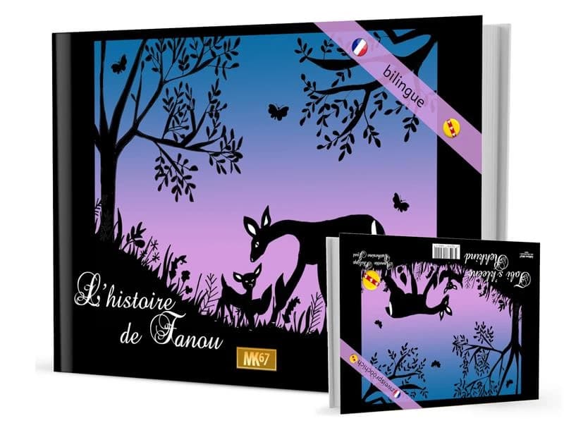 L'histoire de fanou