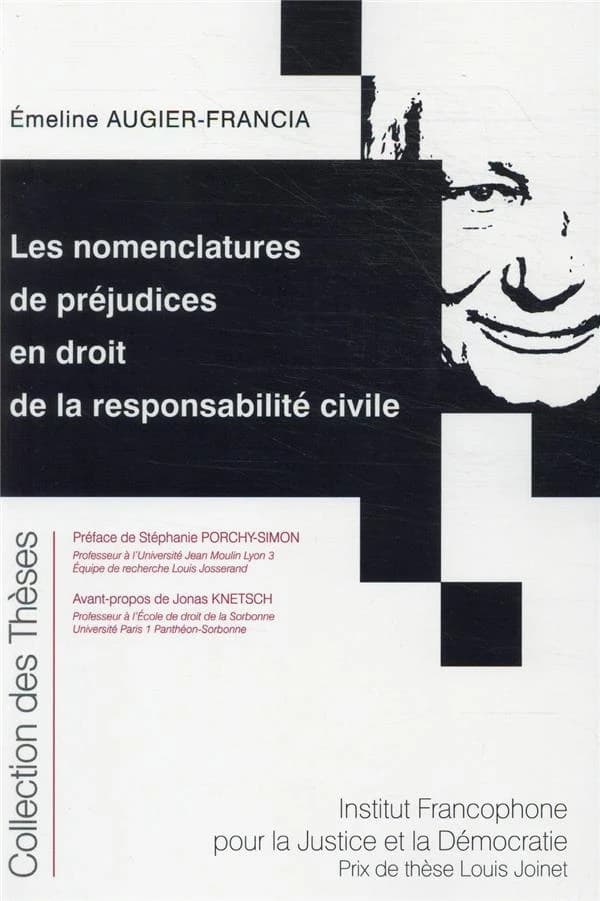 Les nomenclatures de préjudices en droit de la responsabilité civile