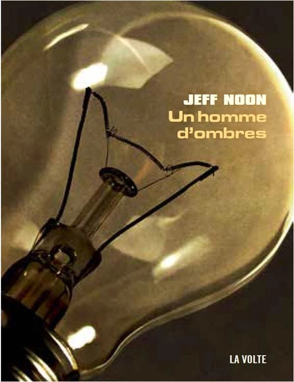 Un homme d'ombres : roman