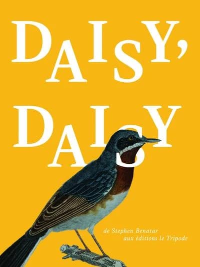 Daisy Daisy
