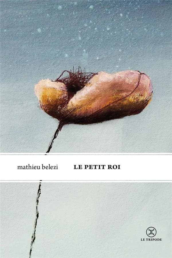 Le petit roi : roman
