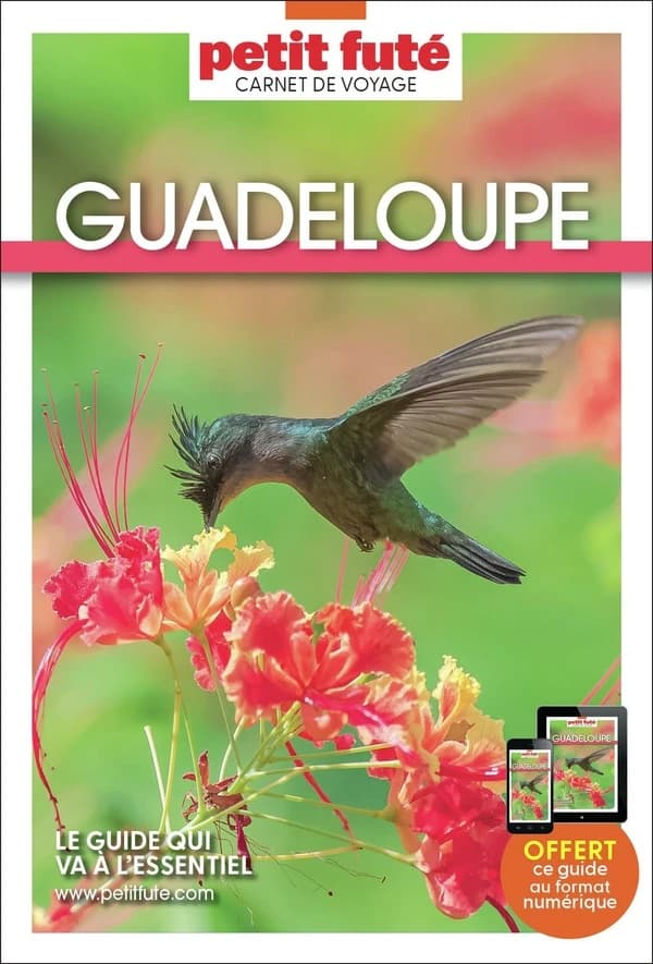 Guadeloupe, la Dominique