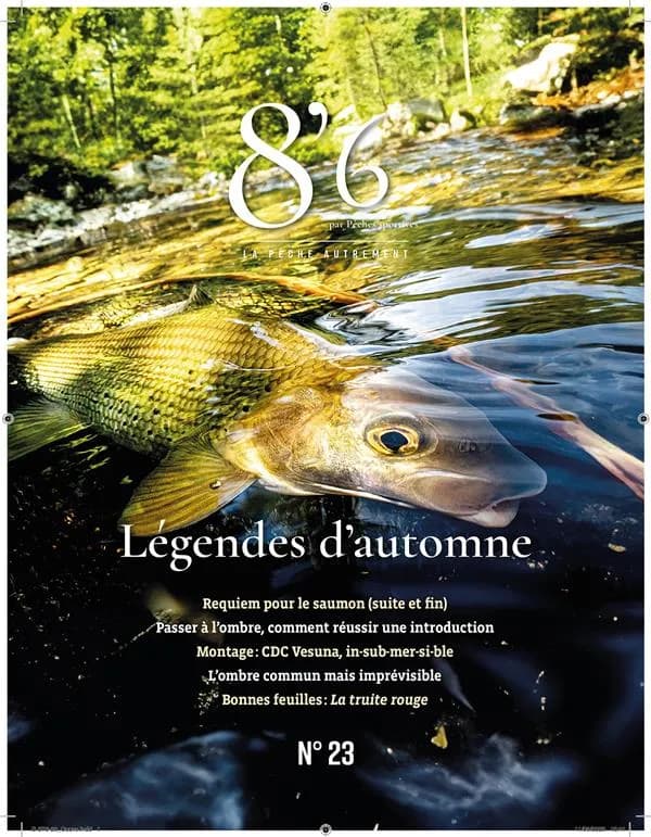 8'6 par pêches sportives n.23 : Légendes d'automne