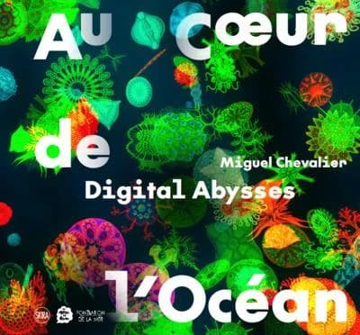 Au coeur de l'océan : digital abysses, Miguel Chevalier