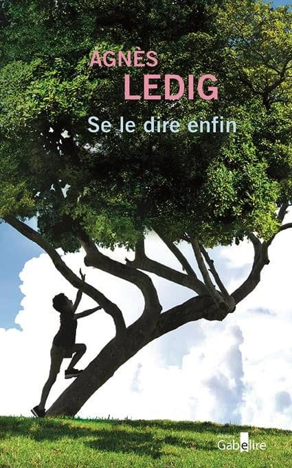 Se le dire enfin ([Éd. en gros caractères]) Agnès Ledig