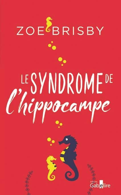 Le syndrome de l'hippocampe ([Éd. en gros caractères]) Zoé Brisby