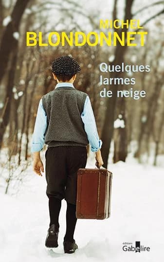 Quelques larmes de neige : roman ([Éd. en gros caractères]) Michel Blondonnet