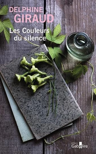 Les couleurs du silence ([Éd. en gros caractères]) Delphine Giraud