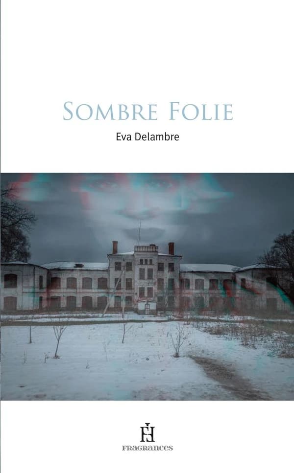 Sombre folie : roman